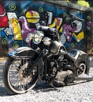 Harley Davidson Softail Chicano (Cross Bones Umbau) Nordrhein-Westfalen - Wermelskirchen Vorschau