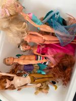 Barbie Mischung inkl Ken Niedersachsen - Lüdersfeld Vorschau