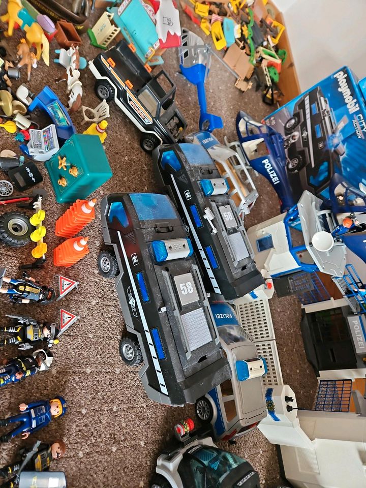 XXL Playmobil sammlung in Trier