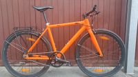 FLX Ebike "Babymaker I" 28 Zoll, Singlespeed Neustadt - Buntentor Vorschau