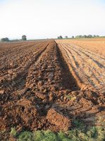 Wald, Landwirtschaftliche Fläche, Wiese Bayern - Pettstadt Vorschau