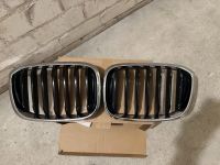 BMW X3 X4 G01 G02 Gebraucht Original Frontgrill Niedersachsen - Garbsen Vorschau