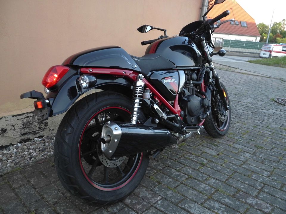 SYM Wolf 300iABS Cafe - Racver in Rostock