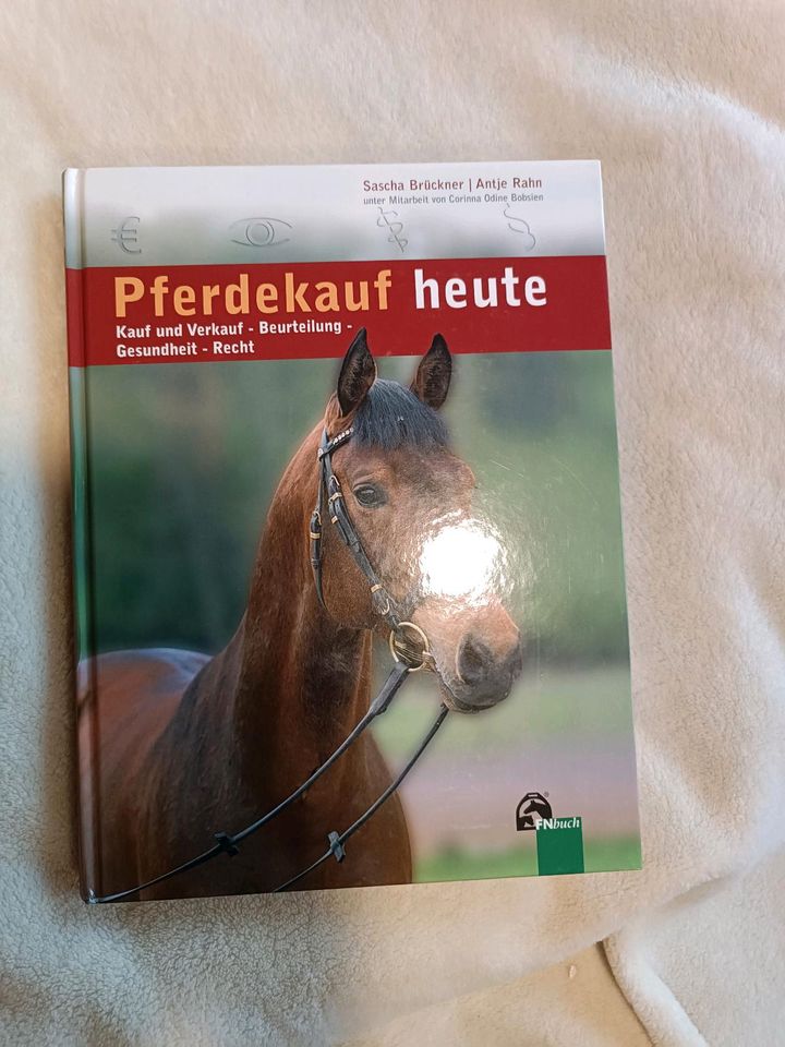 Buch Pferdekauf heute in Hude (Oldenburg)