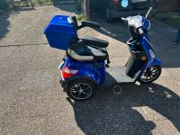 Rolektro E-Trike Sachsen-Anhalt - Magdeburg Vorschau