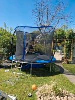 Trampolin 305 cm Durchmesser Borsdorf - Borsdorf Vorschau