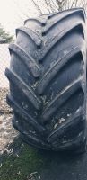 710/60R38 Michelin Xeobib  710/60/38 Niedersachsen - Delmenhorst Vorschau