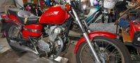 Honda Rebel 125 Nordrhein-Westfalen - Drensteinfurt Vorschau