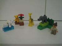 Lego Duplo Tierbabys Zoo 4962 Sachsen-Anhalt - Blankenheim bei Sangerhausen Vorschau