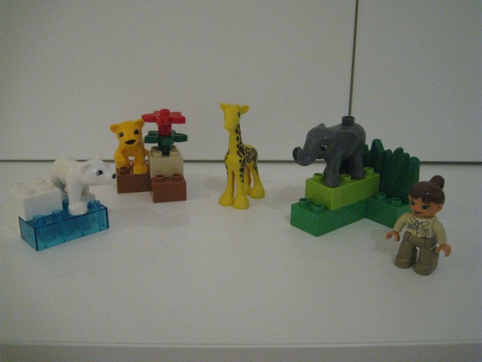 Lego Duplo Tierbabys Zoo 4962 in Blankenheim bei Sangerhausen