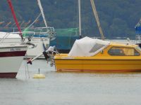 Kleines,gemütliches Motorboot mit Torquedomotor und Trailer Bayern - Pöcking Vorschau