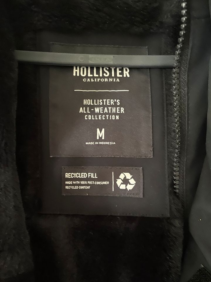 Hollister Pakter Winterjacke in Cremlingen