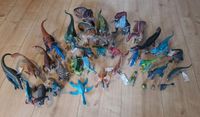 Schleich Dinosaurier und Fabelwesen Riesengroßes Set fast neu Nordrhein-Westfalen - Stolberg (Rhld) Vorschau