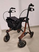 DIETZ TAiMA M Leichgewicht-Rollator Ludwigslust - Landkreis - Ludwigslust Vorschau