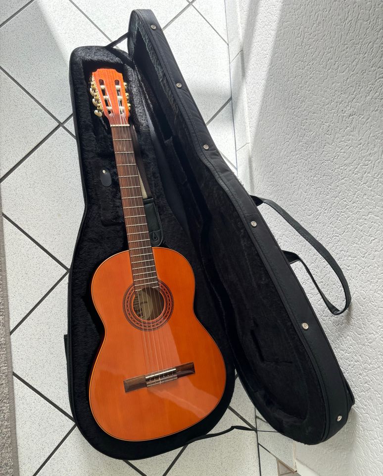 Gitarre von Höfner mit Zubehör in Oelde