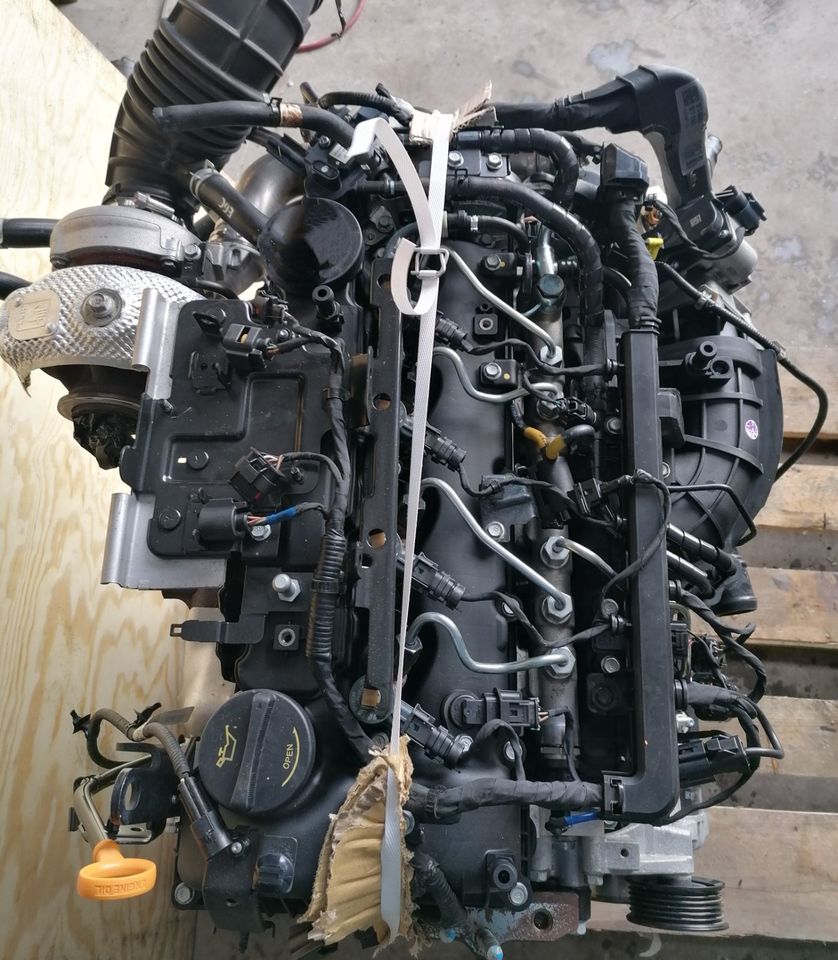 Motor Komplett D4HB 2.2 CRDI KIA Sorento 47 TKM 197PS bj2019 in Küstriner Vorland