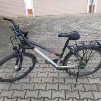 Herren Fahrrad 26 Sachsen - Borna Vorschau