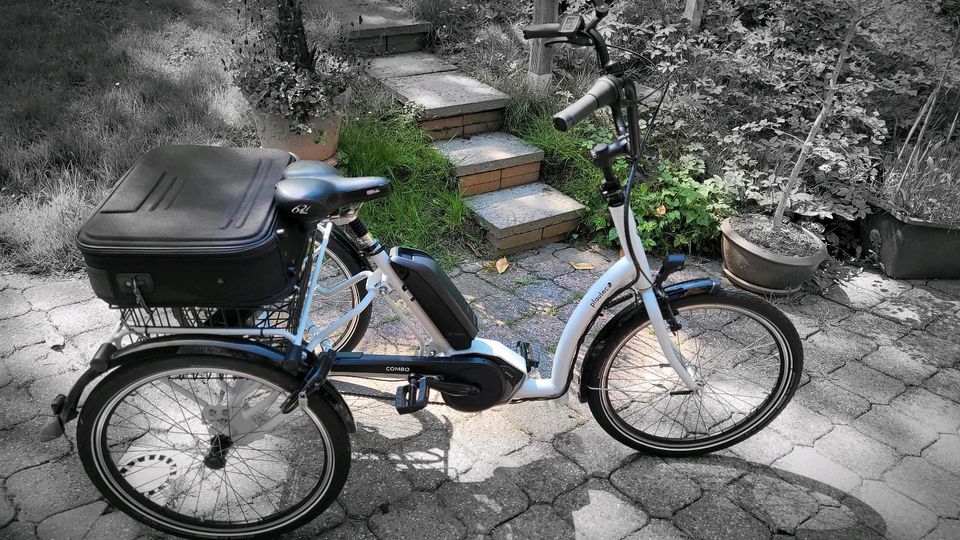 E-Dreirad Pfautec Combo, E-Bike, Pedelec, 3-Rad in Ovelgönne