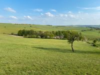 Pferdeboxen frei mit Vollpension Rheinland-Pfalz - Contwig Vorschau