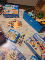 Großes playmobil konvolut Niedersachsen - Hildesheim Vorschau