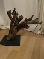 Ast Baum Terrarium Reptilien Vogel 42x38 cm Wandsbek - Hamburg Bramfeld Vorschau