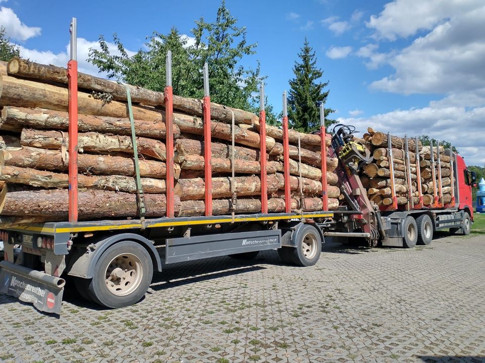 Stammholz Brennholz Nadelholz Laubholz Kohlen LKW Lieferung in Zwickau