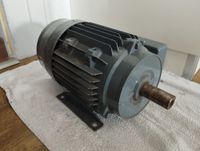 Motor Wolf UD100LB Ungeprüft Ersatzteil Elektromotor Niedersachsen - Winsen (Luhe) Vorschau