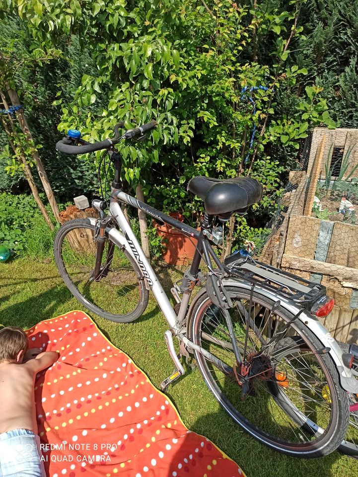 Fahrradpaket in Borken