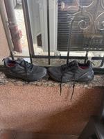 Adidas TERREX FREE HIKER 2.0 Brandenburg - Grünheide (Mark) Vorschau