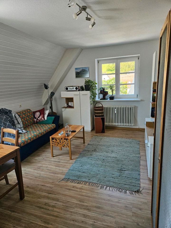 2 Zimmer Dachgeschosswohnung 50m² 630€ in Müllheim