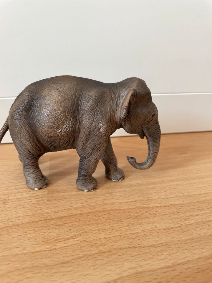 Schleich Elefant in Kleinmachnow