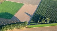 Wir Suchen Ackerland, Felder, Wiesen, Pachtland, Bewirtschaftung Nordrhein-Westfalen - Heek Vorschau