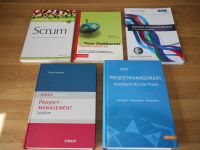 Sammlung 5 Bücher Projektmanagement + Litke GPM IPMA etc. Nordrhein-Westfalen - Gütersloh Vorschau