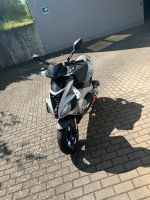 Aprilia SR 50 Ditech Rheinland-Pfalz - Emmelshausen Vorschau