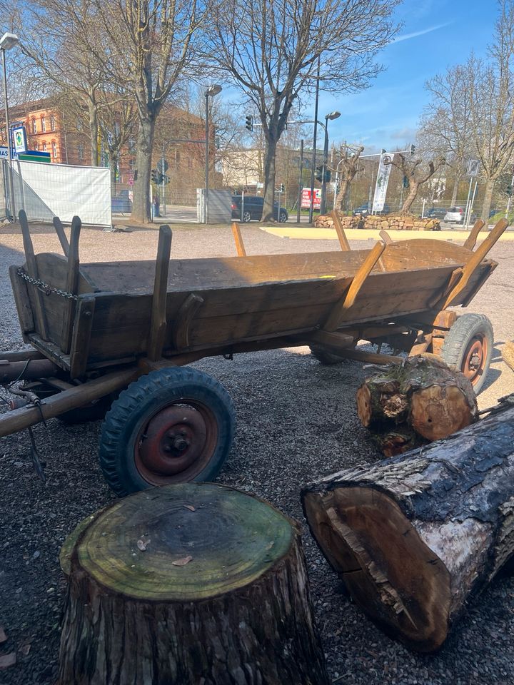 Traktor Anhänger Rolle in Landau in der Pfalz