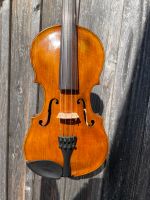 Geige 1/1, Violine Baden-Württemberg - Salem Vorschau