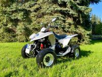 Quad Kymco Maxxer 300 Sachsen - Zschaitz-Ottewig Vorschau