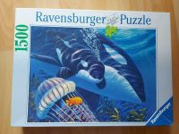 Ravensburger Puzzle 1500 Teile Essen-West - Frohnhausen Vorschau