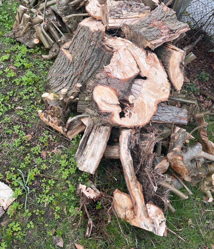 Holz zu verschenken in Neuengörs