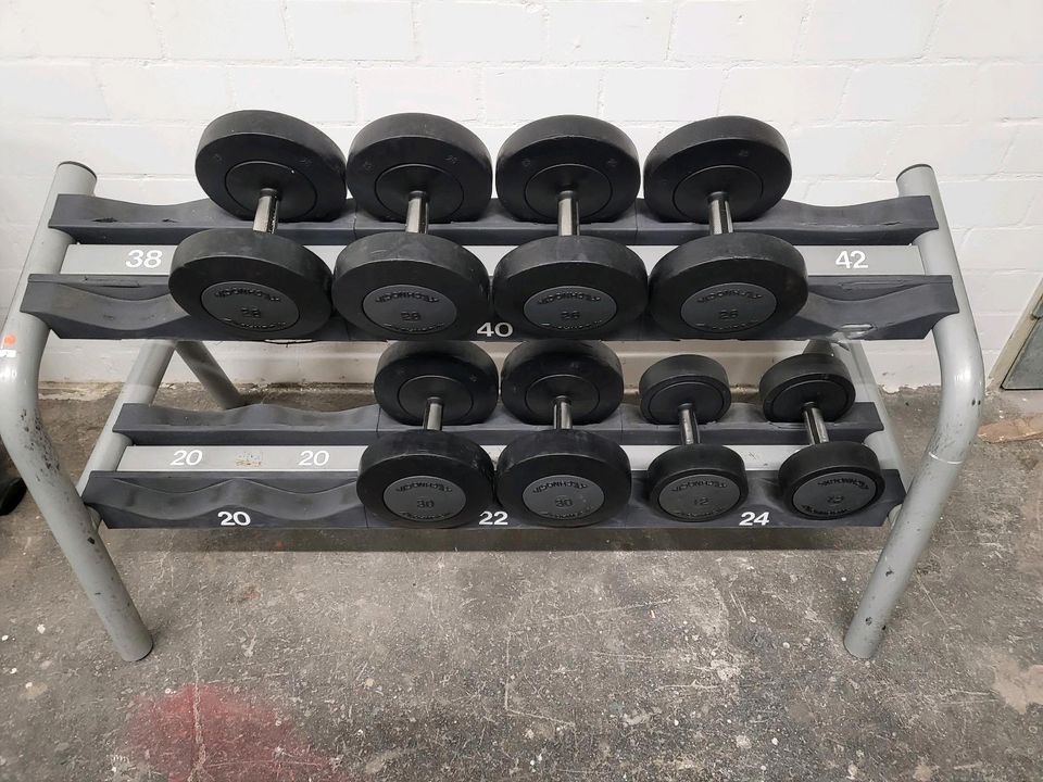 TECHNOGYM GYM DUMBBELL SET KURZHANTEL GEWICHTE RACK 80 in Gremmendorf