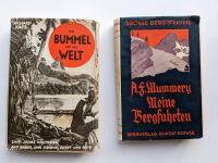 Ein Bummel um die Welt und Meine Bergfahrten Bücher alt antik Baden-Württemberg - Rutesheim   Vorschau