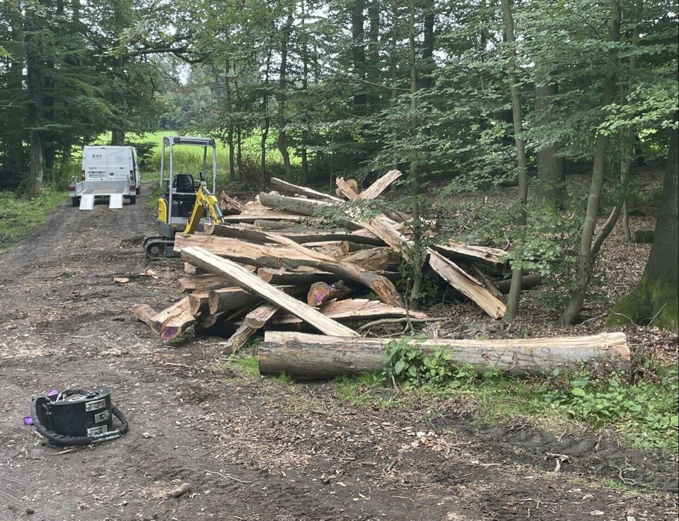 Lohnspalten von Kaminholz, Weidepfählen, Holzspalter / Brennholz in Ahaus