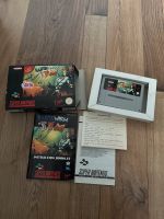 Earthworm Jim /Nintendo/ Sammeln Essen - Essen-Borbeck Vorschau