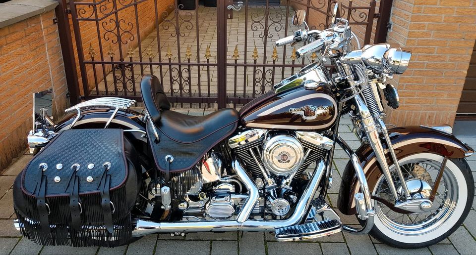 Harley Davidson Springer in Köln