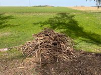 Holz gegen Abholung Bayern - Streitberg Vorschau