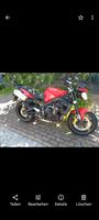 Street Triple 675 R Tiefergelegt Baden-Württemberg - Elzach Vorschau