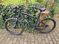 Spezialized Mountainbike 19 Zoll Hessen - Bad Orb Vorschau