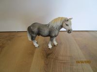 Schleich Pecheron Hengst 13623.....8€ Niedersachsen - Hildesheim Vorschau