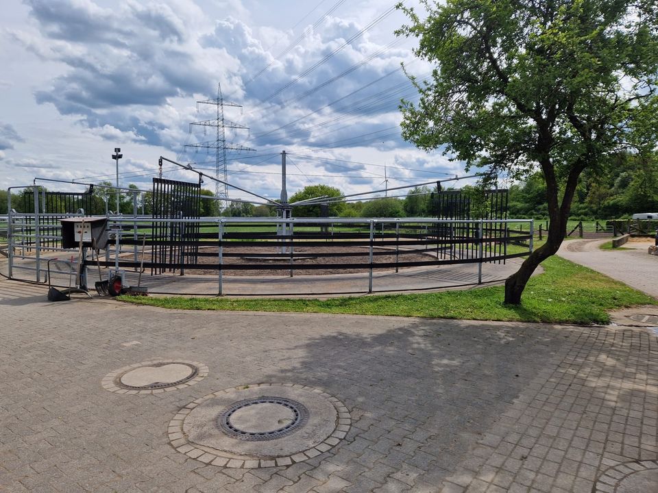 Pferdebox zu vermieten in Dorsten