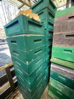 Bienen Zargen von Dadant Imker bedarf Nordrhein-Westfalen - Lüdenscheid Vorschau